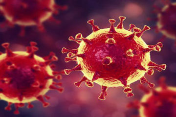 Coronavirus