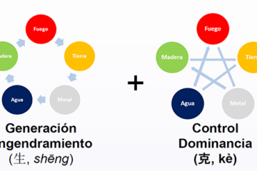 Ciclos Fisiológicos