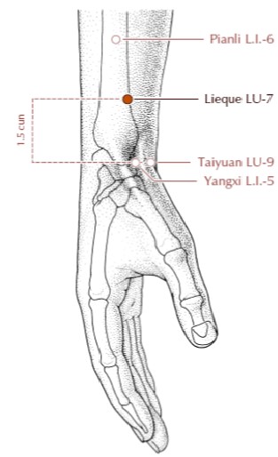 Lie Que (P-7), dos variantes para este punto. Punto de Gao Wu.