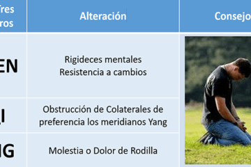 Tratamiento de la Rodilla - Visión Holística