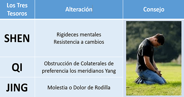 Tratamiento de la Rodilla - Visión Holística